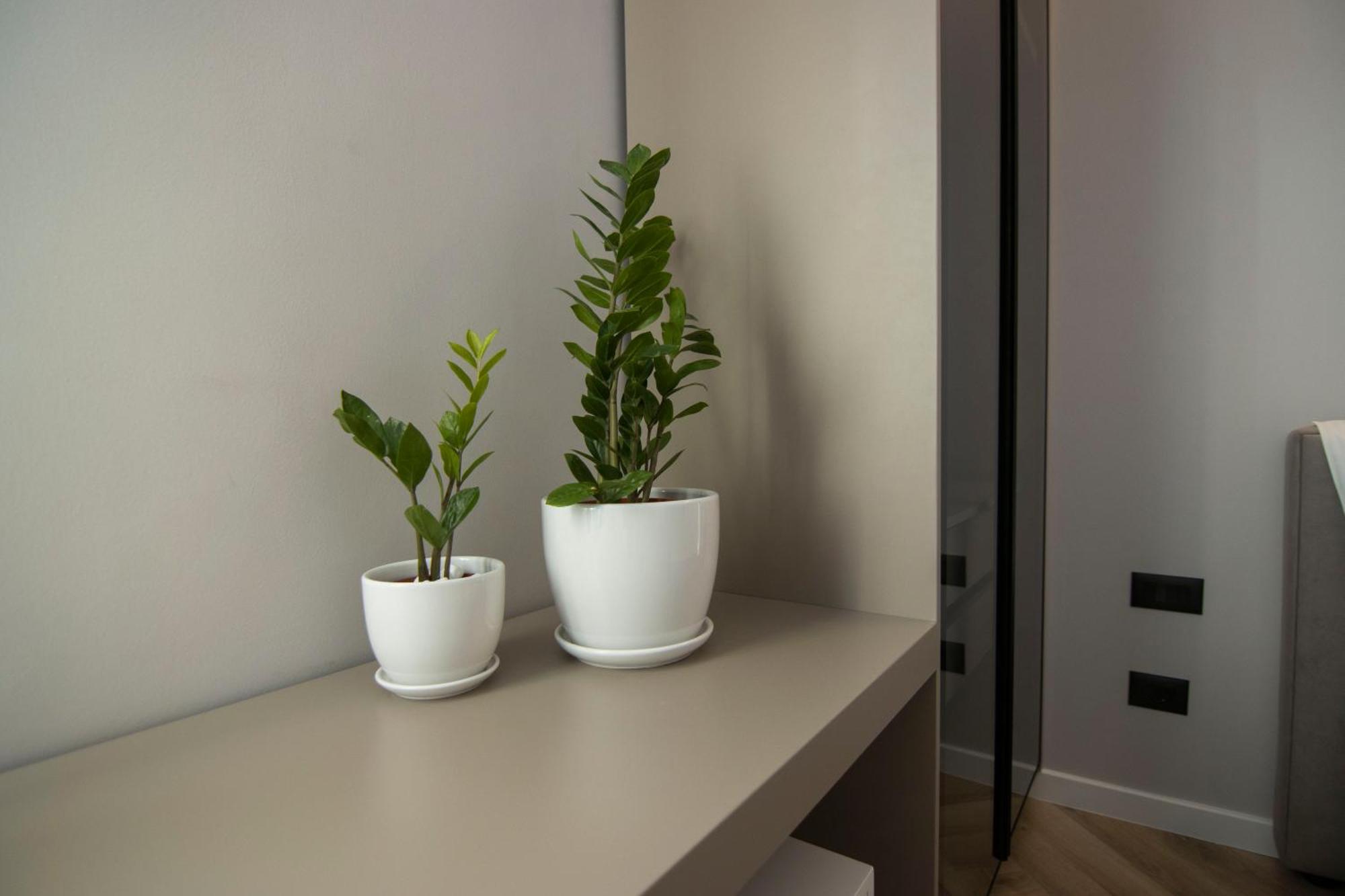 Mina Luxury Rooms Tirana Buitenkant foto